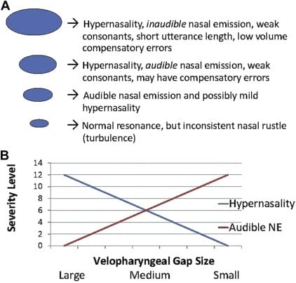 cul de sac resonance speech therapy