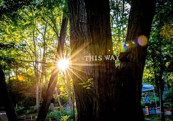 quantum 360 healing center