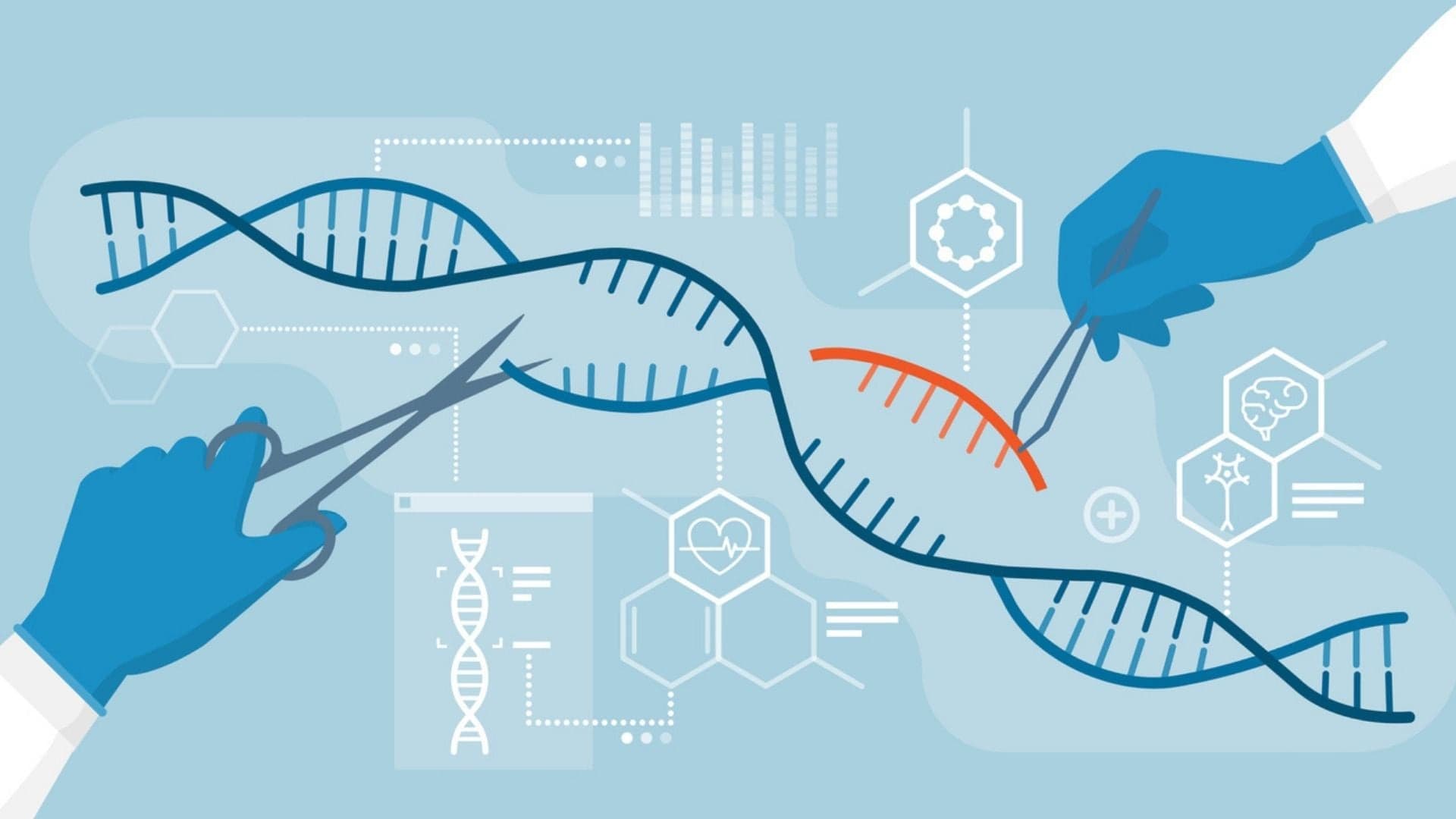 crispr biohacking