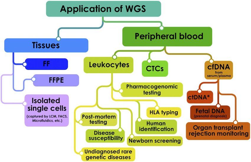 Improved Genomic Wave Approaches for Whole Genome Sequencing 5 genomic wave whole genome sequencing