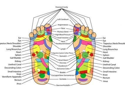 Chinese Medicine and the Kidneys 1 low kidney energy chinese medicine