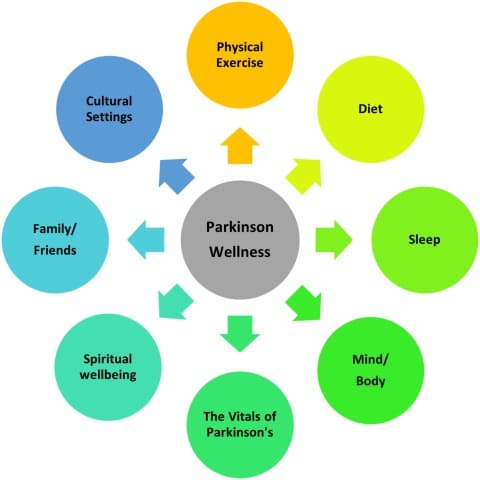 natural healer definition