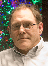 phd in energy medicine