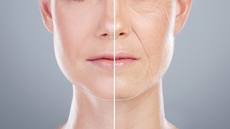 reverse aging in humans