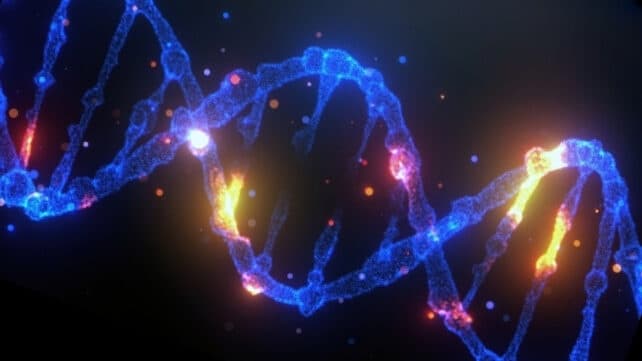 Genetics and the Junk DNA Wave 1 junk dna wave genetics