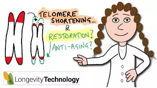 can telomerase reverse aging