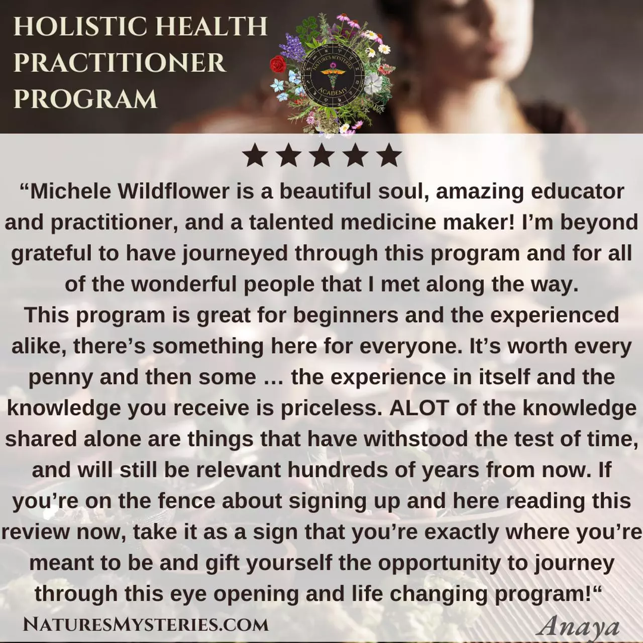 holistic health practitioner online program