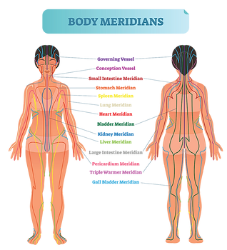 Chinese Medicine and Your Liver 1 chinese medicine liver energy