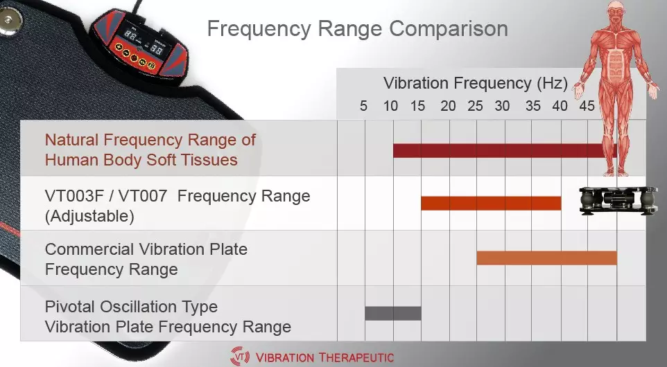 vibration platform with magnetic therapy