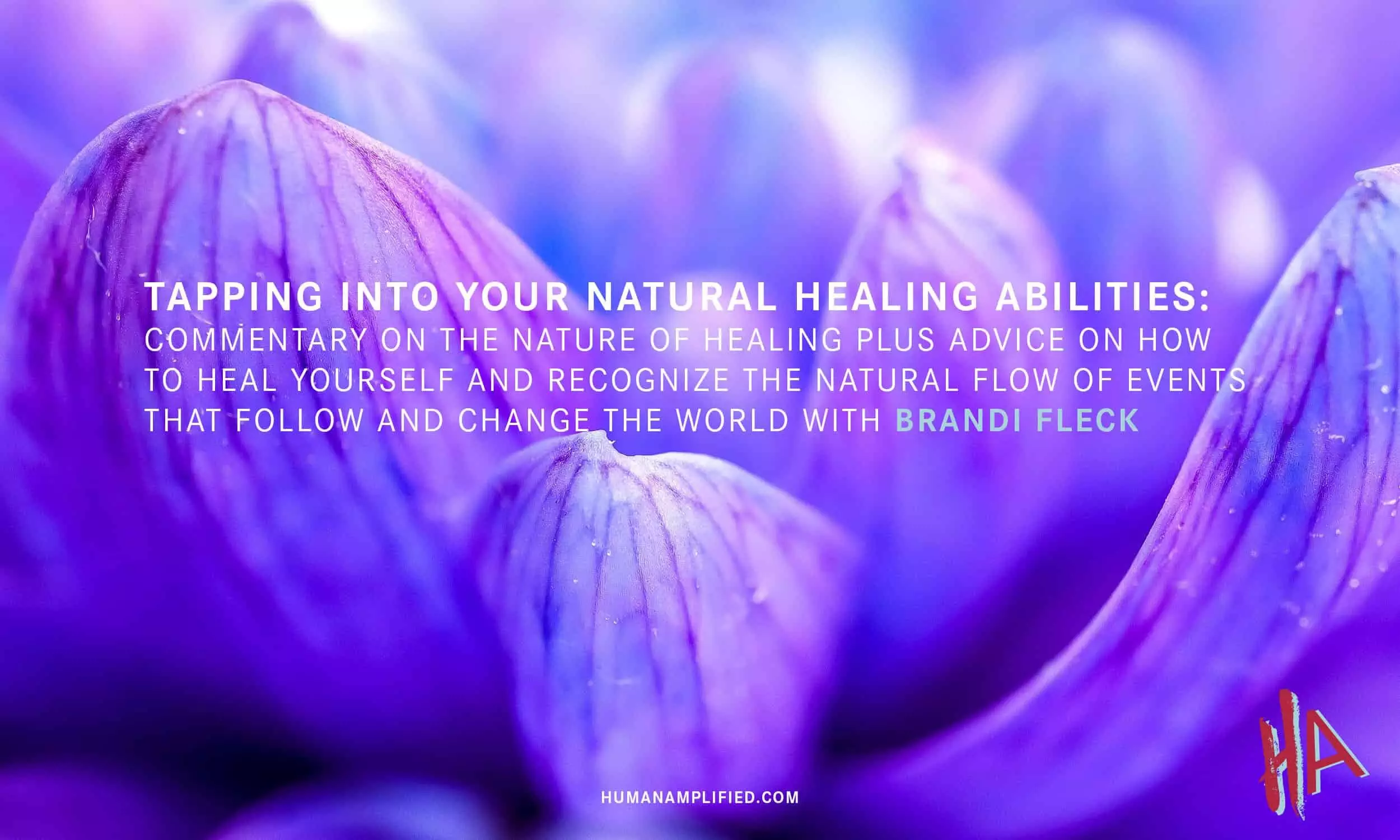 natural healer meaning