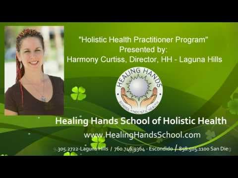 The Certified Holistic Health Practitioner Program 1 holistic health practitioner program