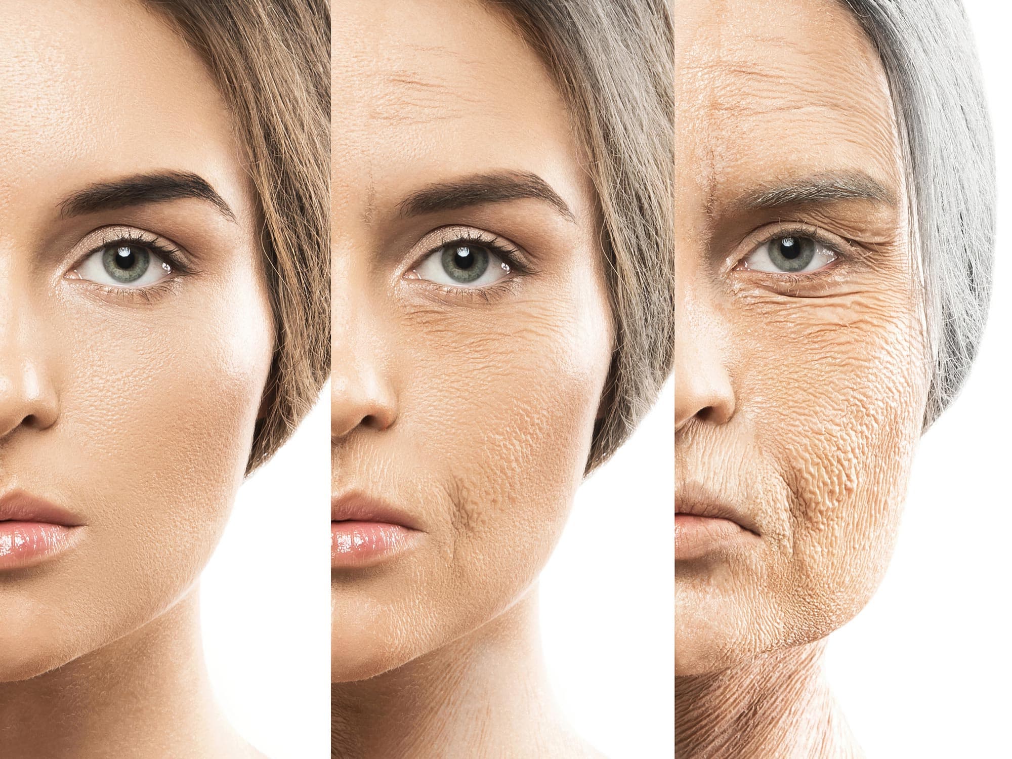 Could a New Study Reverse Aging? 1 new study reverse aging