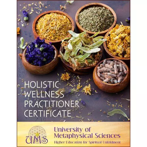 holistic practitioner degree